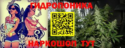 спиды Кулебаки