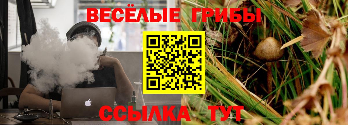 Псилоцибиновые грибы MAGIC MUSHROOMS  Галлюциногенные грибы Cubensis  Ивантеевка  Вход с VPN 