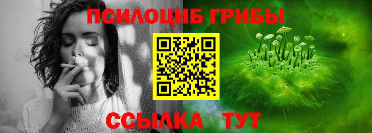 Галлюциногенные грибы Psilocybe Ивантеевка